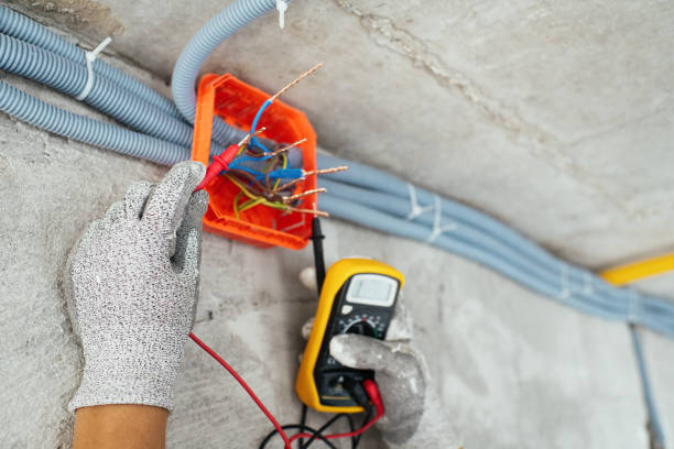 Best Licensed Electrician  in Homestead Valley, CA